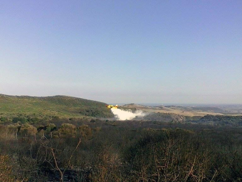 Canadair in azione (2015)