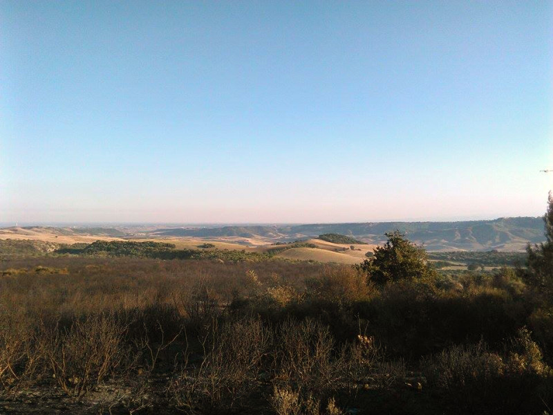 Effetti dell’incendio in località Lucignano (Matera) 2015