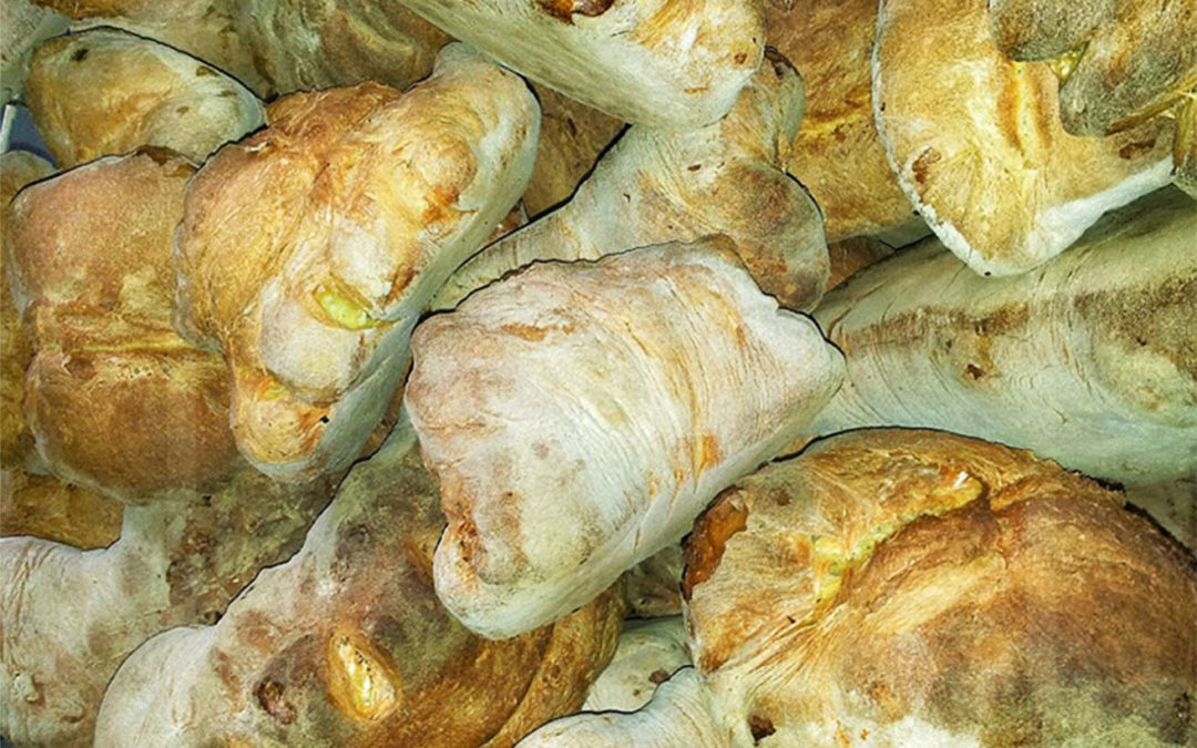 Sei su: forme di pane alto di Matera.